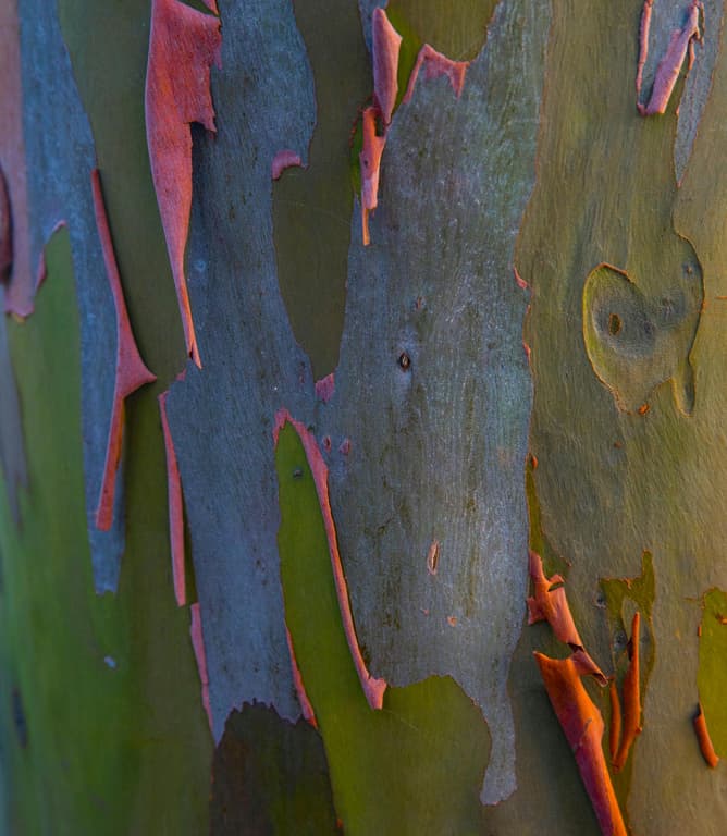 Mind-bending Ecotech Ideas from 5 Brilliant Founders - Ep. 223