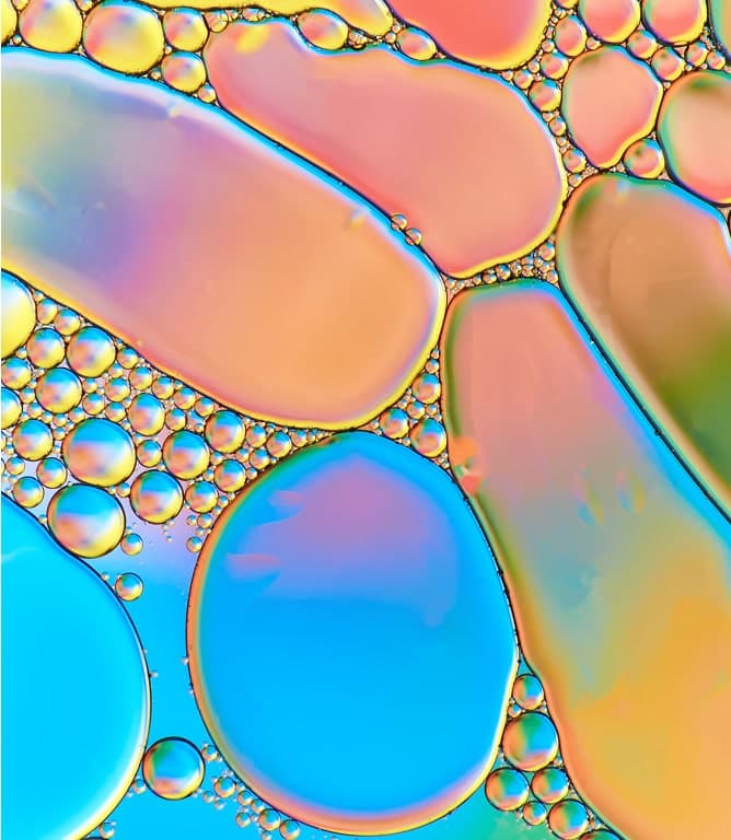 Lab-Grown Meat: Is This the Future of Food? - Ep. 219