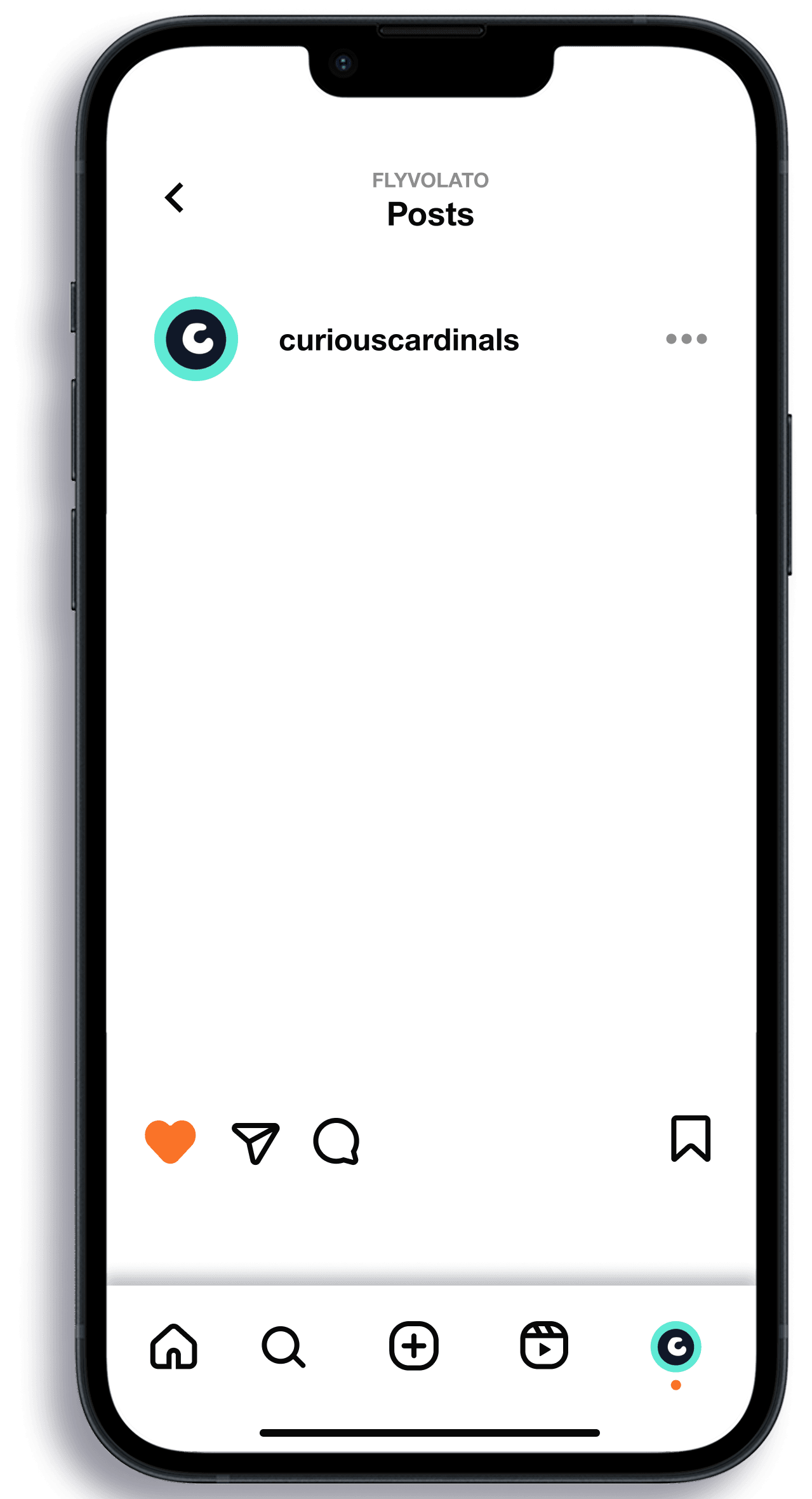 curious-cardinals-instagram-screen